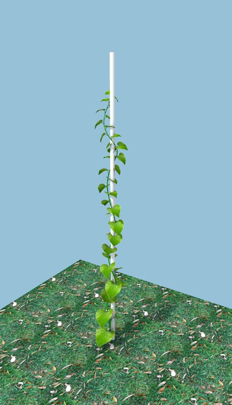 Plant preview image 1